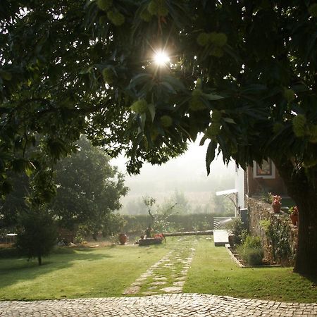 Отель Vila Dos Castanheiros Феррейра-ду-Зезери Экстерьер фото