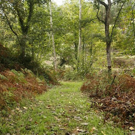 Отель Vila Dos Castanheiros Феррейра-ду-Зезери Экстерьер фото