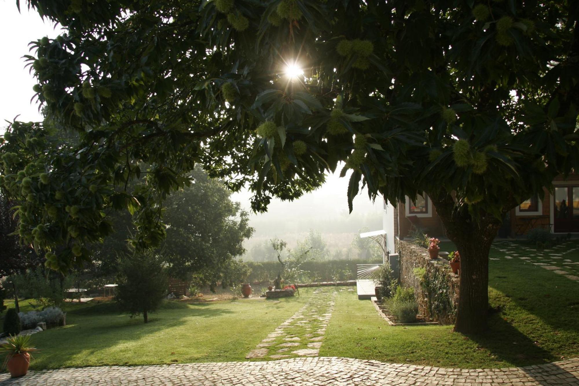 Отель Vila Dos Castanheiros Феррейра-ду-Зезери Экстерьер фото